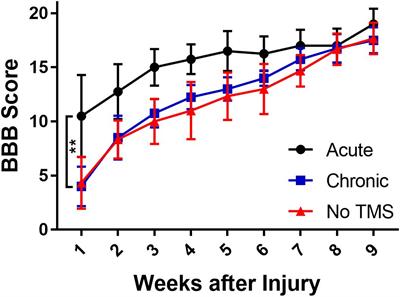 Multimodal Evaluation of TMS - Induced Somatosensory Plasticity and Behavioral Recovery in Rats With Contusion Spinal Cord Injury